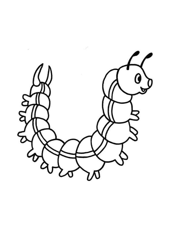 Zeichnen Raupe einfach