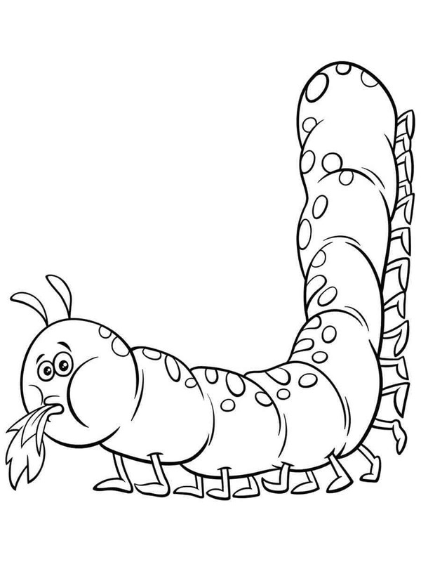 Raupe ausmalbilder