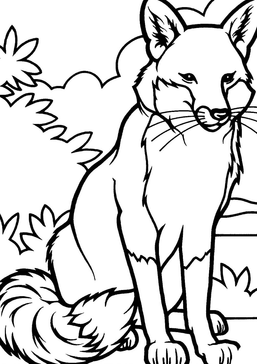 Zeichnen Rotfuchs für Kinder