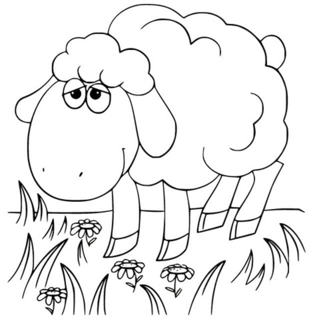 Zeichnen Schaf schlicht