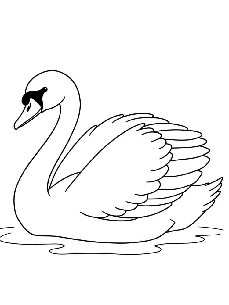 Zeichnen Schwan