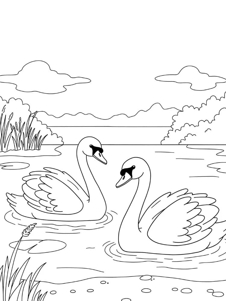 Zeichnen Schwan basisch