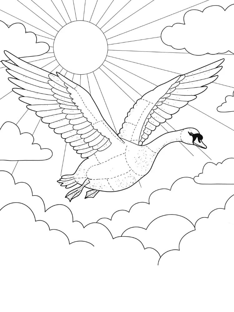 Zeichnen Schwan druckbar