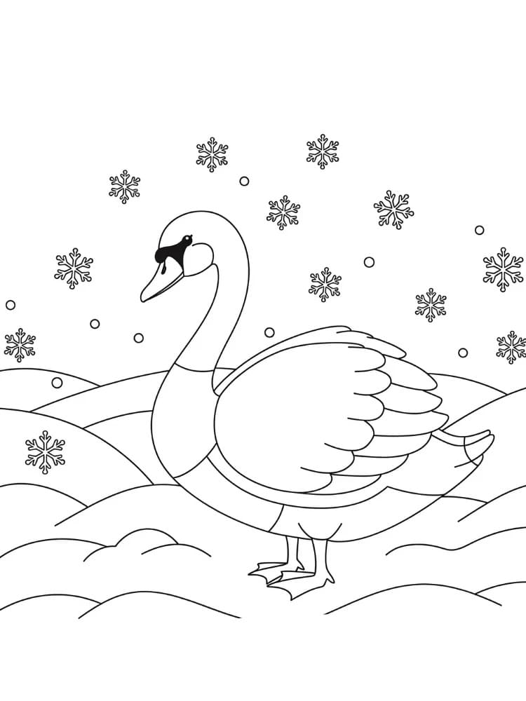 Zeichnen Schwan einfach