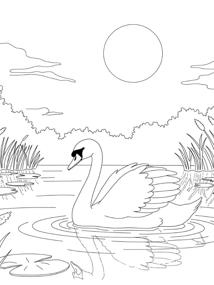 Zeichnen Schwan kostenlos