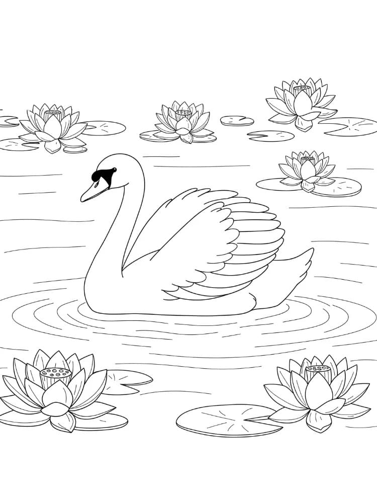 Zeichnen Schwan schlicht