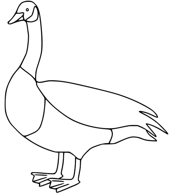 Kostenlos druckbar Gänse