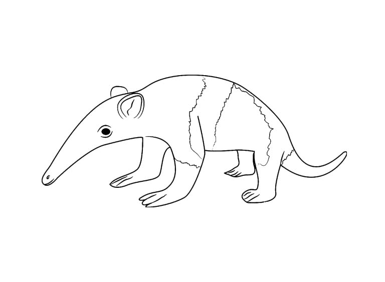 Zeichnen Ameisenbären kostenlos schlicht