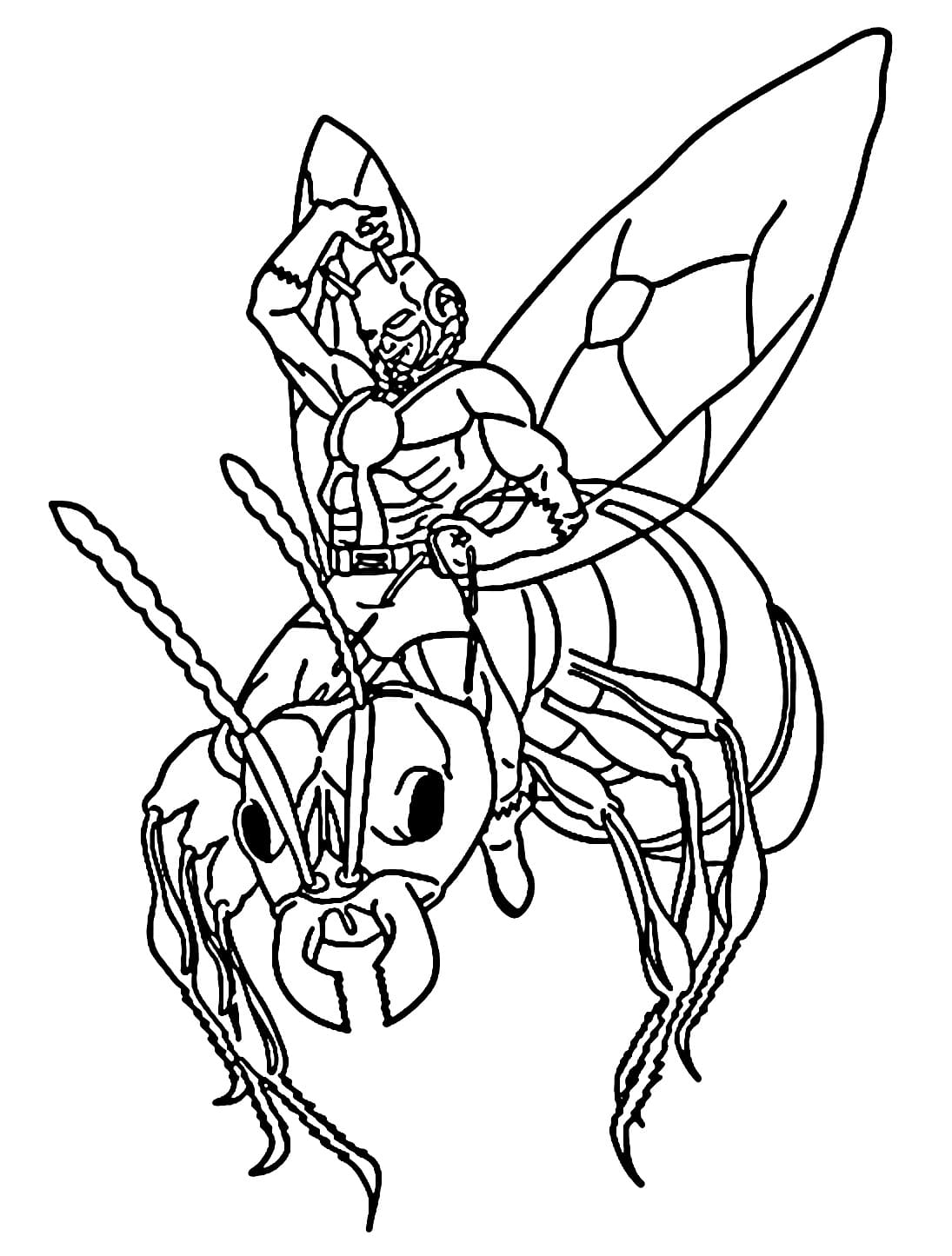 Zeichnen Ant-Man druckbar