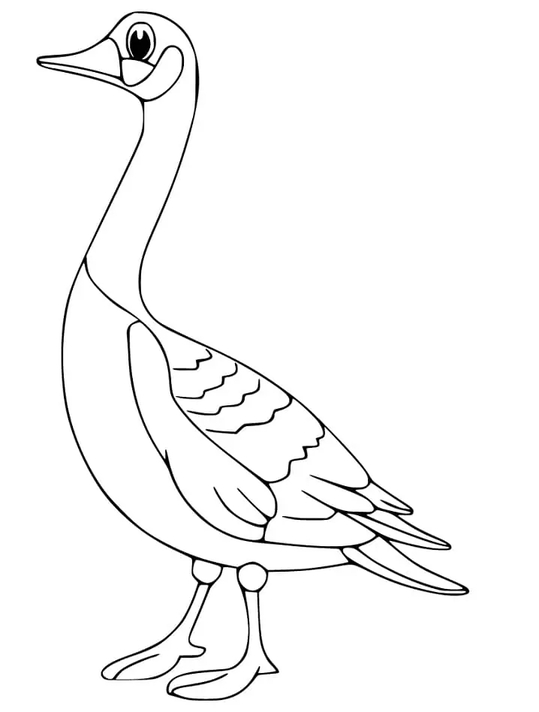 Zeichnen Gänse basisch