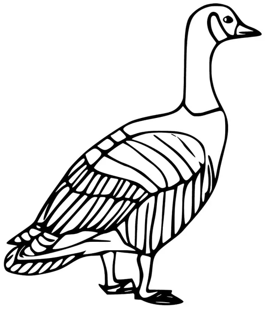 Zeichnen Gänse druckbare schlicht