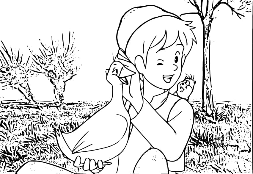 Zeichnen Nils Holgersson 6