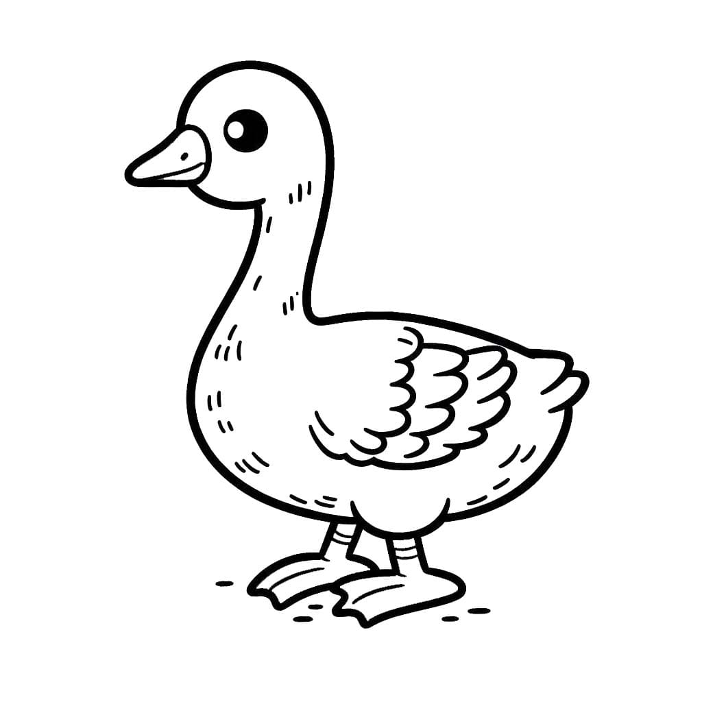 Zum Ausdrucken Gänse