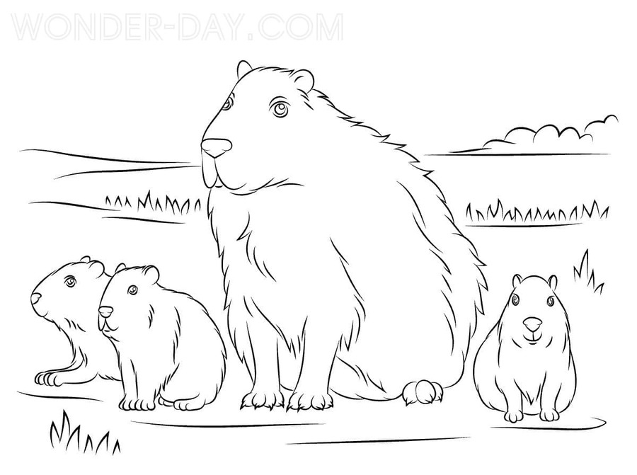 Capybara kostenlos schlicht