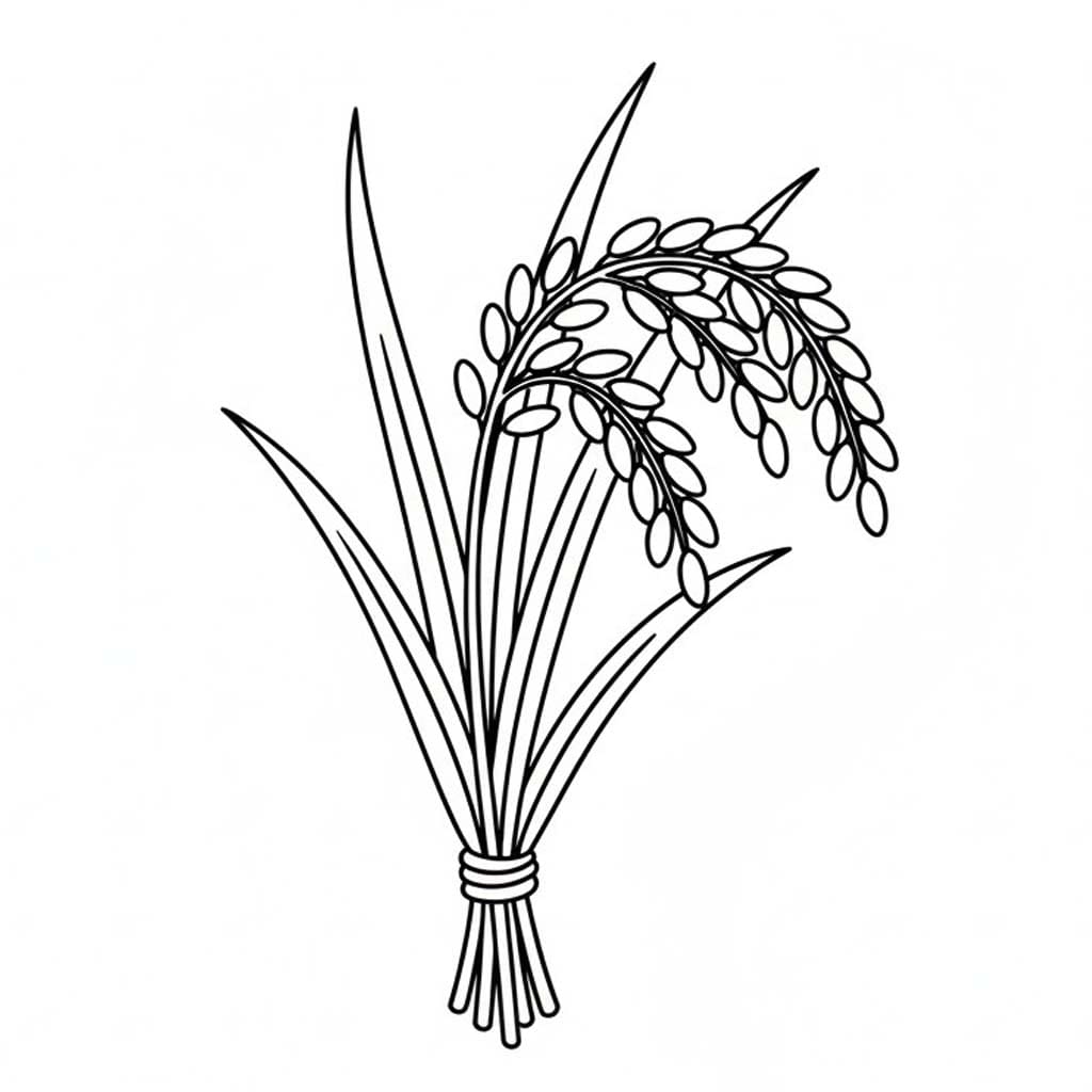 Getreide für Kinder