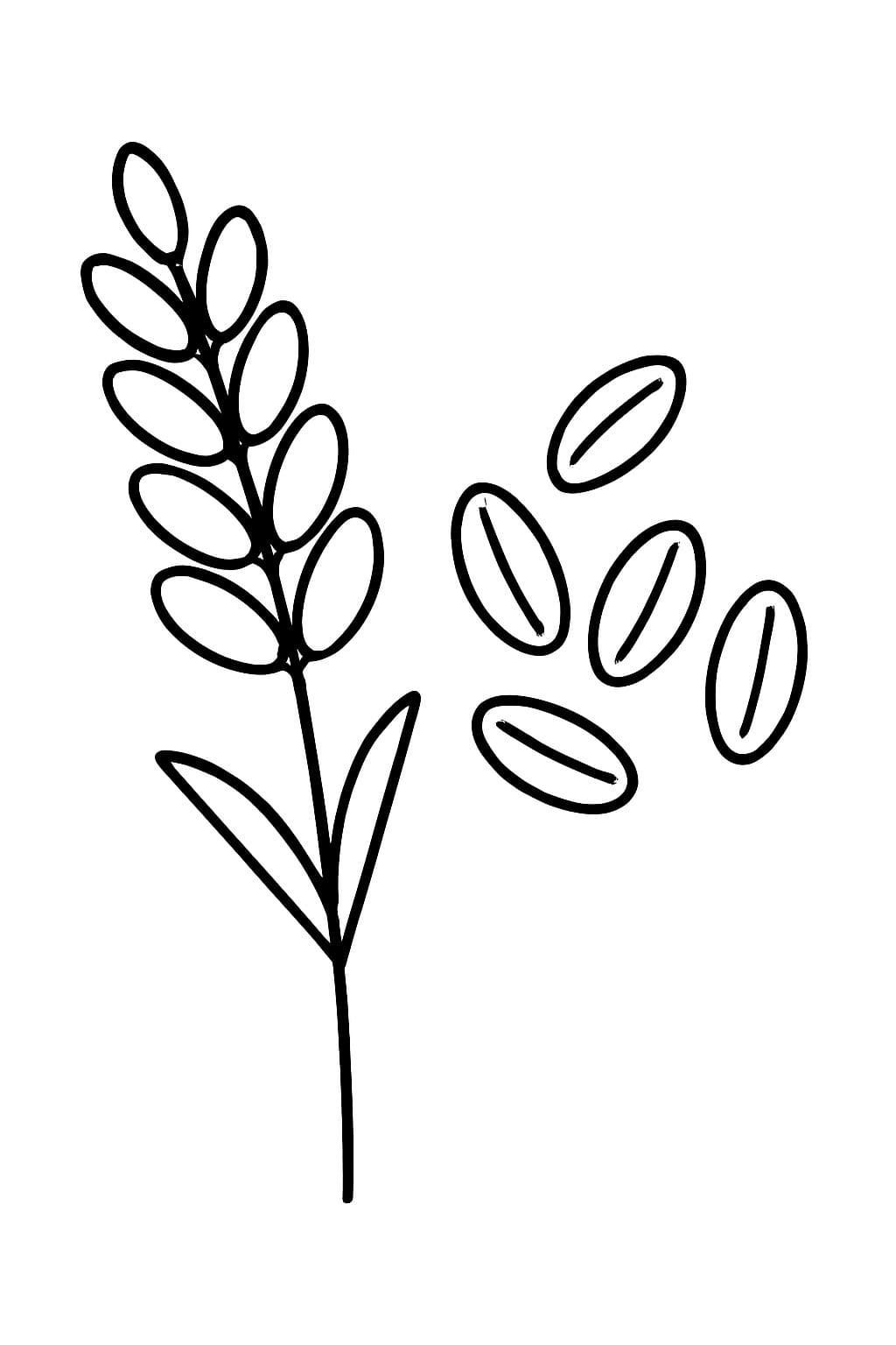 Getreide zum Ausdrucken