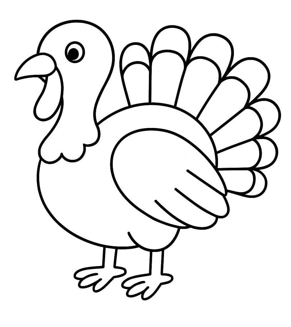 Truthahn für Kinder