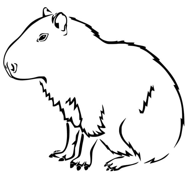 Zeichne Capybara 1