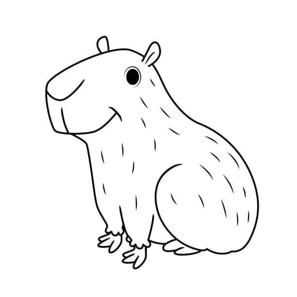 Zeichne Capybara 2