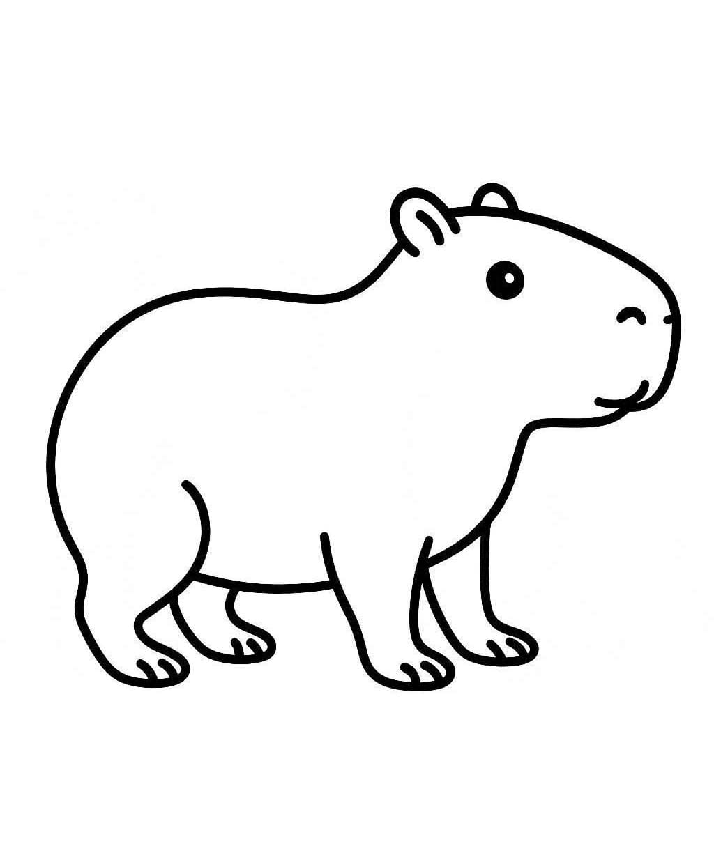 Zeichne Capybara 3