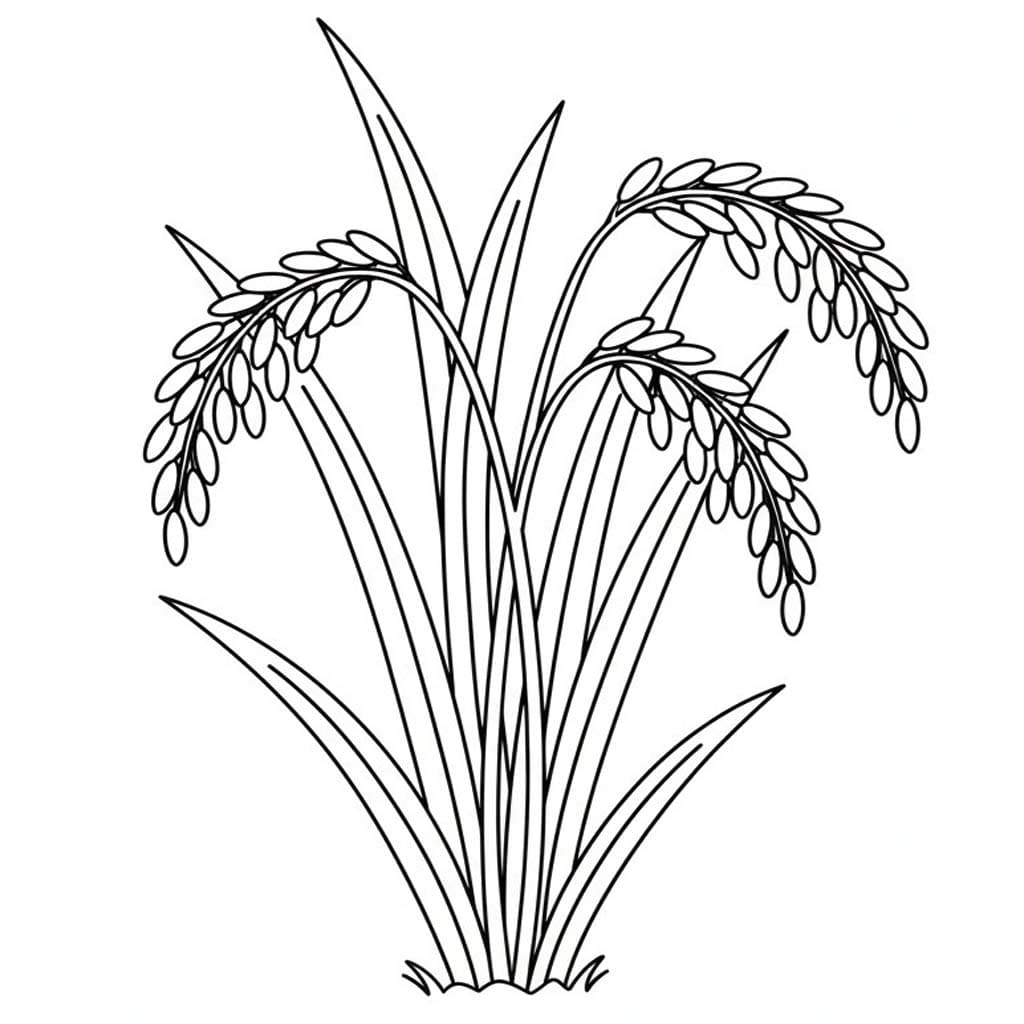 Zeichne Getreide basisch