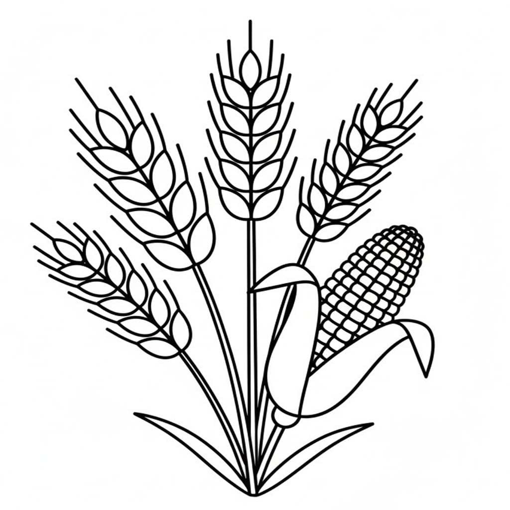 Zeichne Getreide druckbare