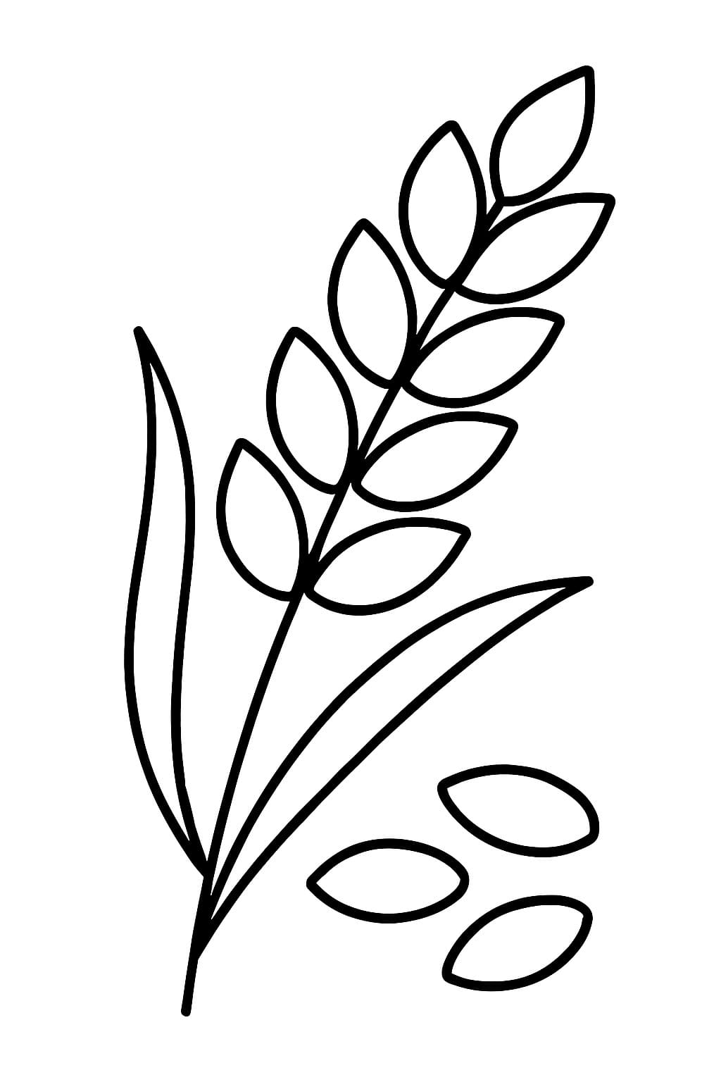 Zeichne Getreide druckbare basisch