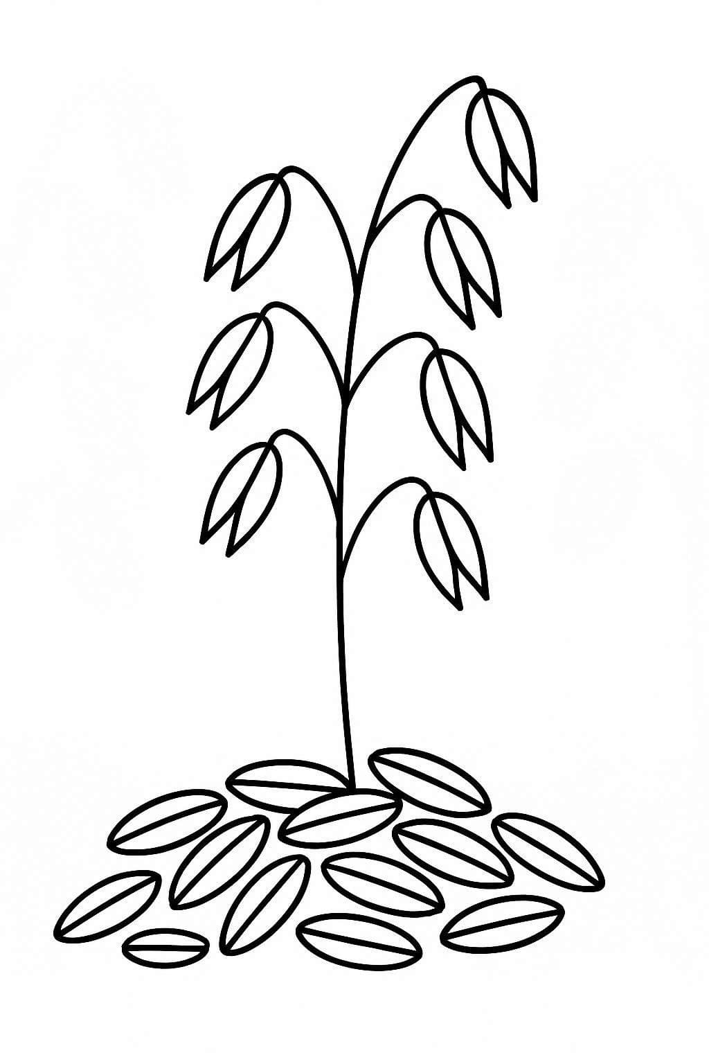 Zeichne Getreide druckbare einfach