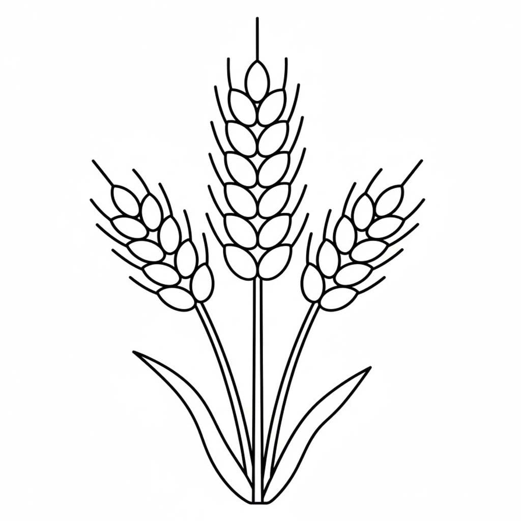 Zeichne Getreide druckbare für Kinder