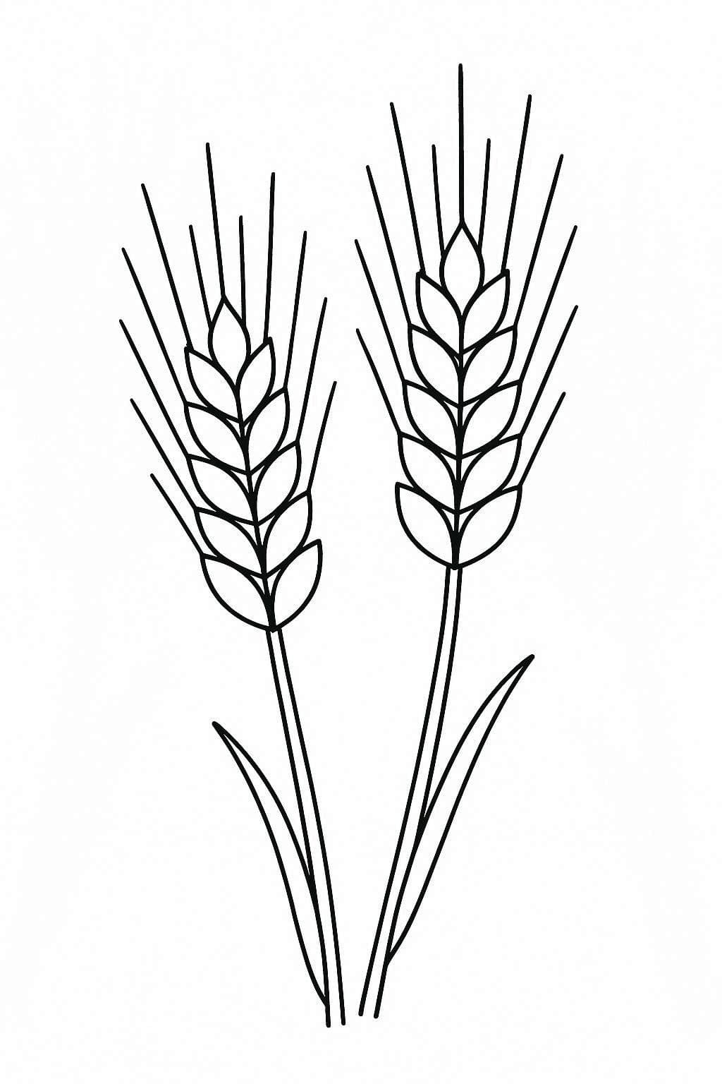 Zeichne Getreide druckbare schlicht
