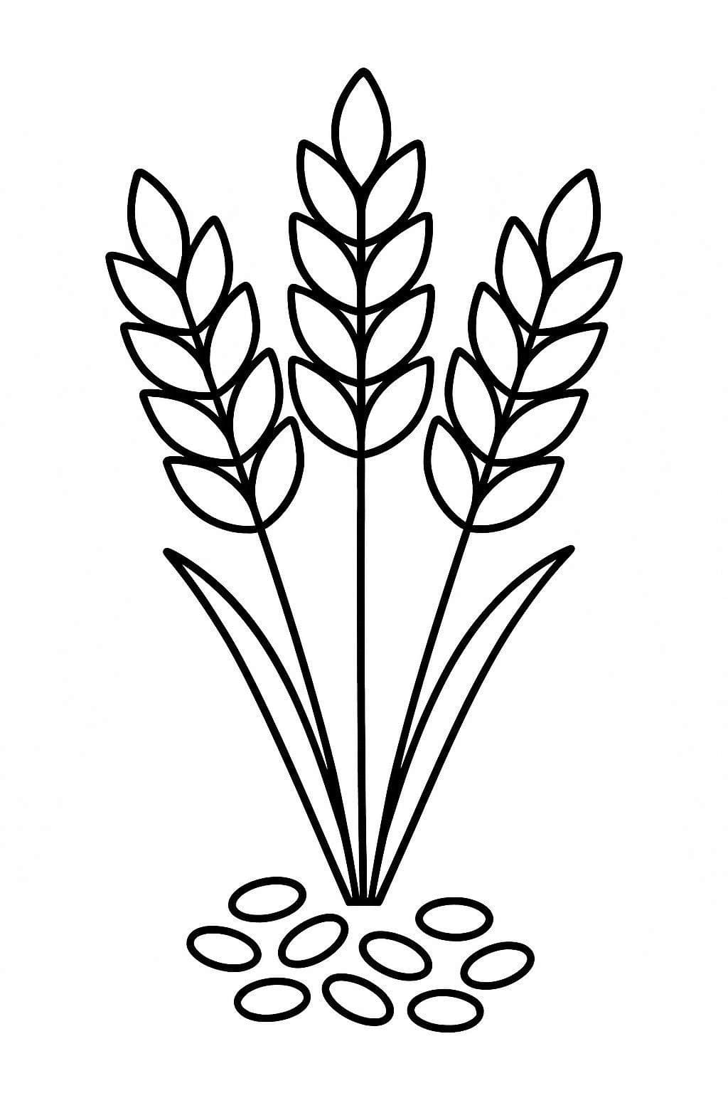 Zeichne Getreide kostenlos schlicht