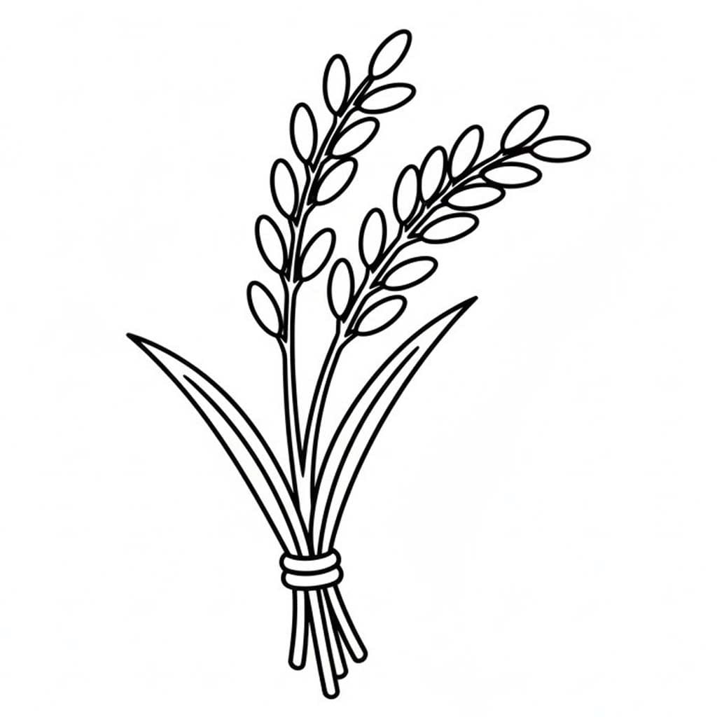 Zeichne Getreide zum Ausdrucken für Kinder