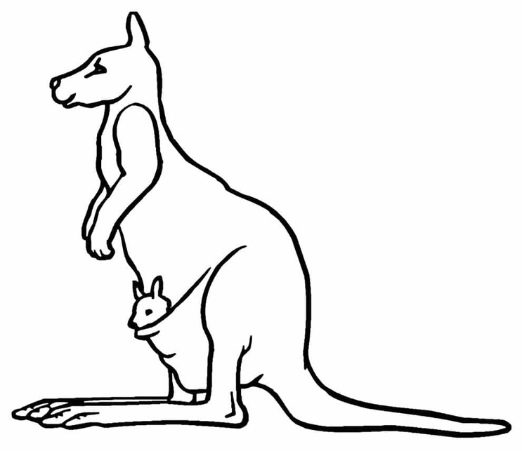 Zeichne Känguru druckbare schlicht