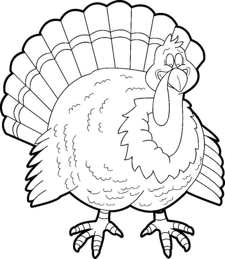 Zeichne Truthahn für Kinder