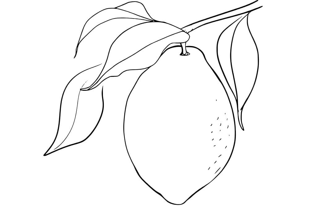 Zeichne Zitrone kostenlos druckbare