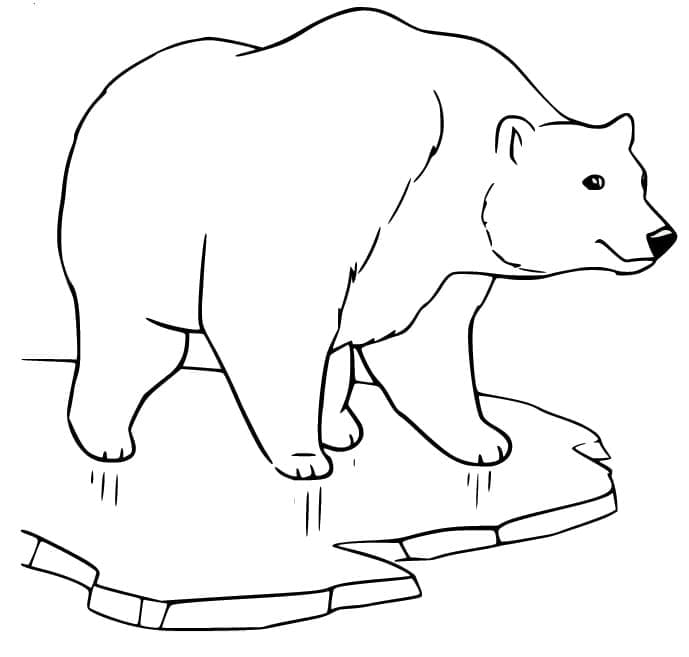 Eisbär 6