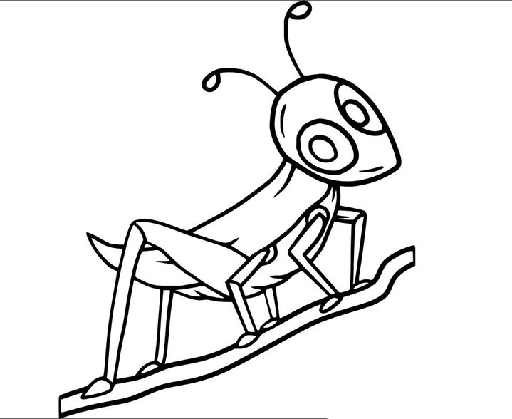 Grashüpfer kostenlos druckbare