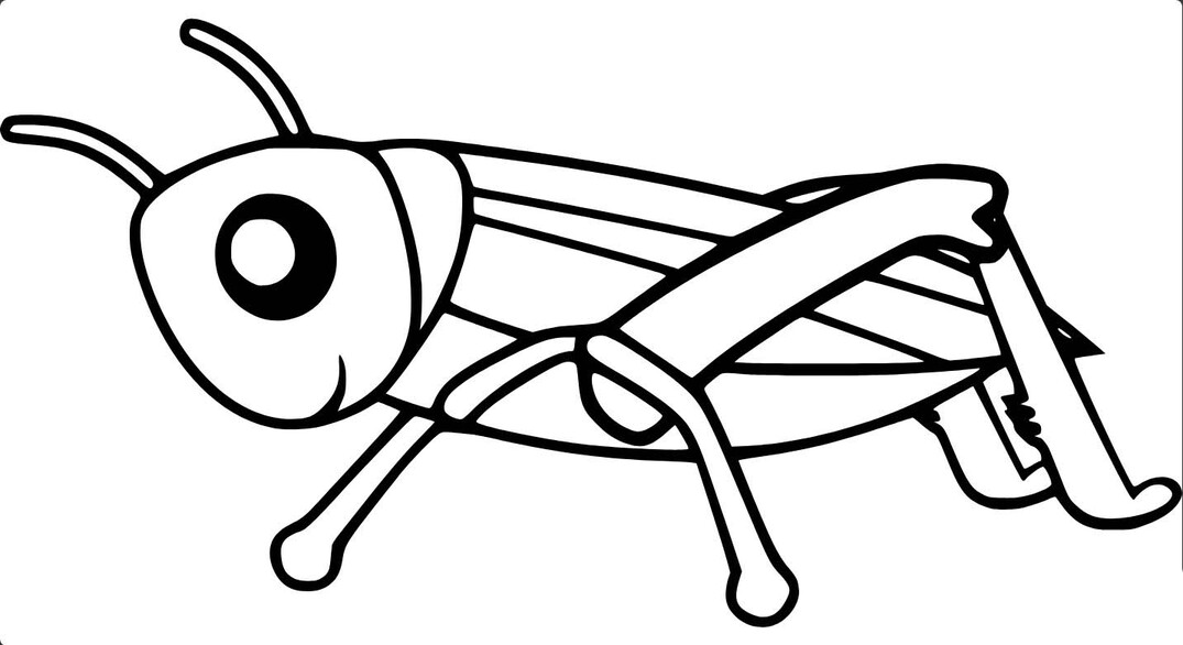 Grashüpfer kostenlos für Kinder