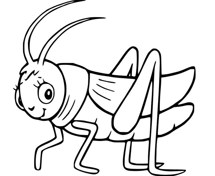 Grashüpfer zum Ausdrucken