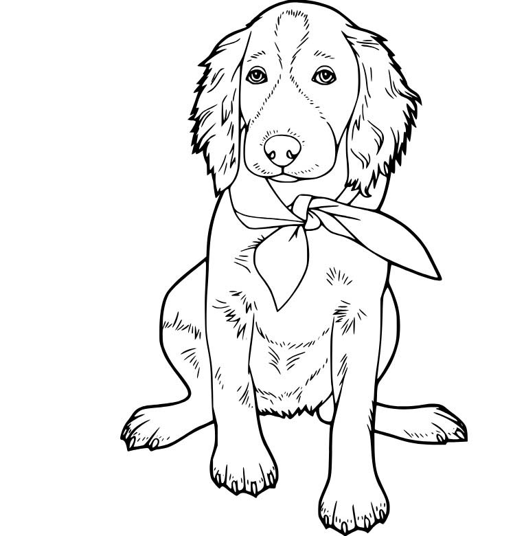 Kostenlos druckbare Labrador