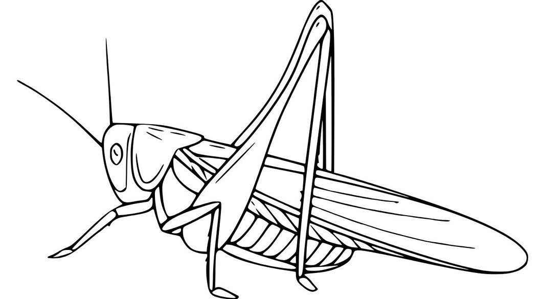 Kostenlos Grashüpfer