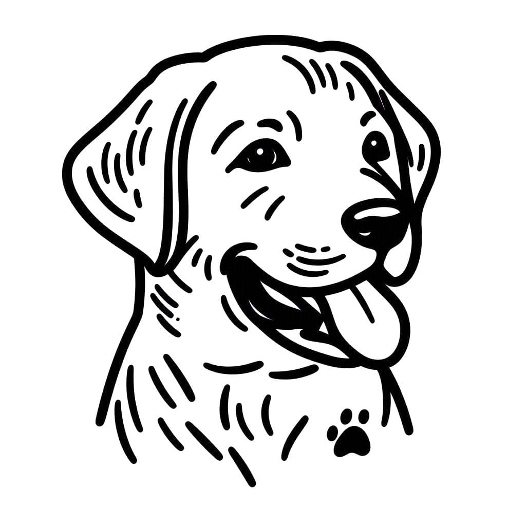 Labrador druckbare für Kinder