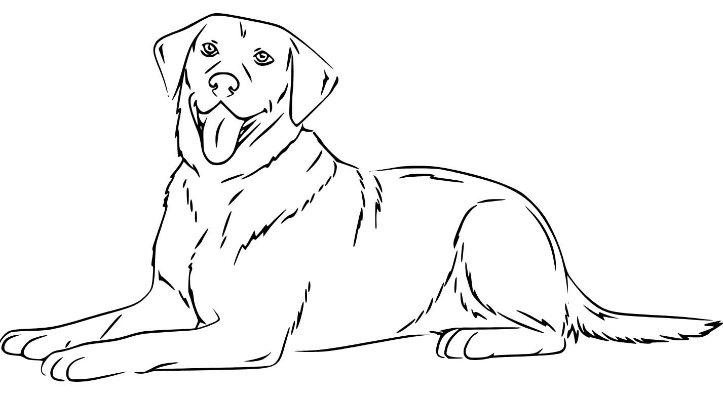 Labrador kostenlos druckbare