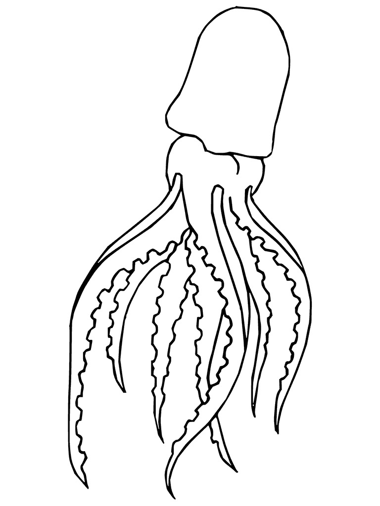 Tintenfisch druckbare