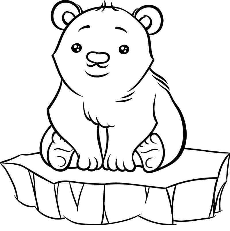 Zeichne Eisbär einfach