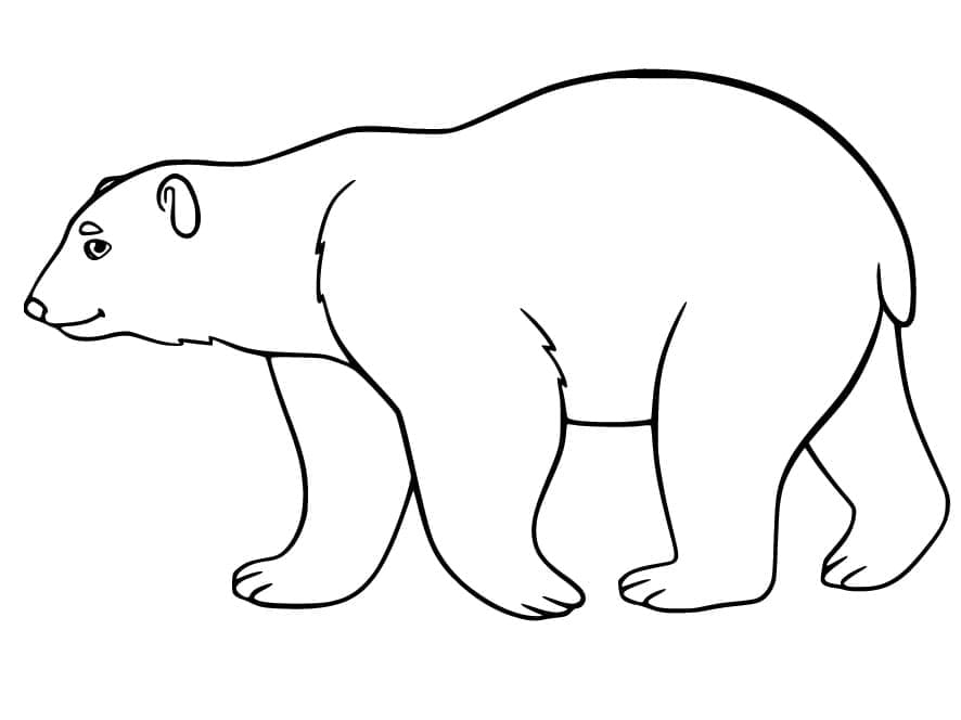 Eisbär coloring pages