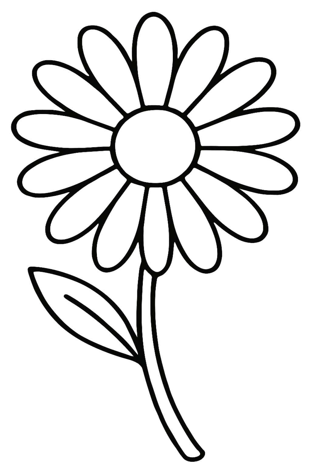 Zeichne Gänseblümchen druckbare