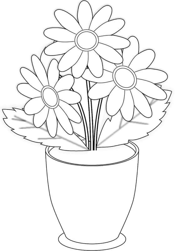 Zeichne Gänseblümchen einfach