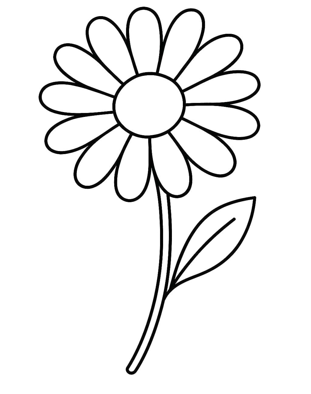 Zeichne Gänseblümchen kostenlos druckbare