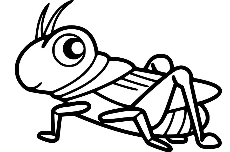 Zeichne Grashüpfer basisch